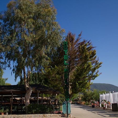 Hotel Hellas Epidaurus 外观 照片